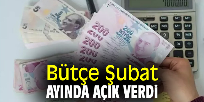 Bütçe Şubat ayında açık verdi