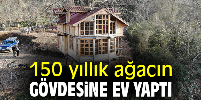 150 yıllık ağacın gövdesine ev yaptı