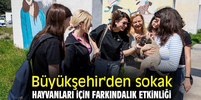 Büyükşehir'den sokak hayvanları için farkındalık etkinliği