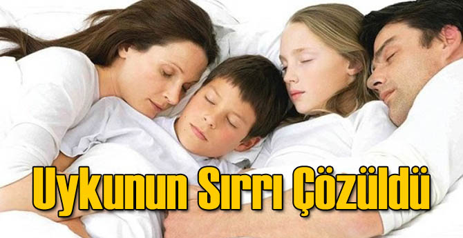 Uykunun Sırrı Çözüldü!