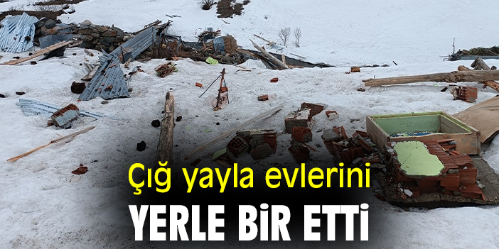 Çığ yayla evlerini yerle bir etti