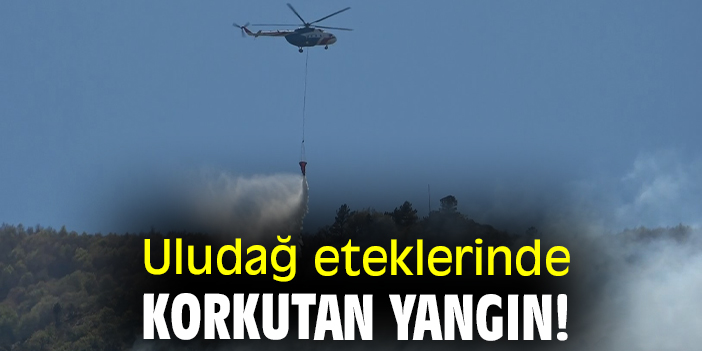 Uludağ eteklerinde korkutan yangın!