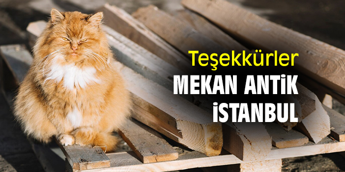 Teşekkürler Mekan Antik İstanbul