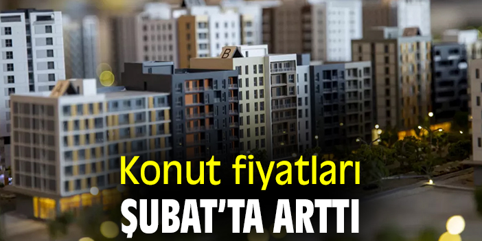 Konut fiyatları Şubat’ta arttı