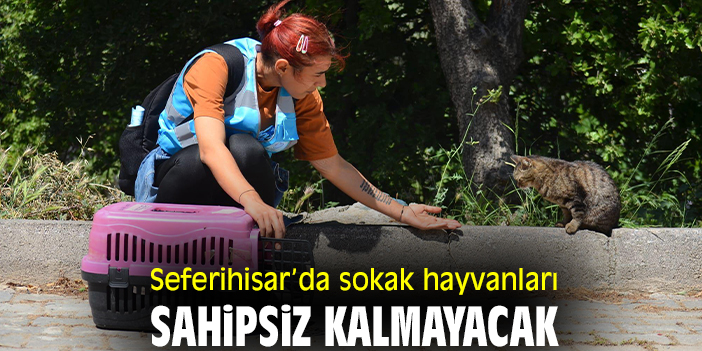 Seferihisar’da sokak hayvanları sahipsiz kalmayacak