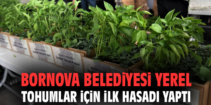 Bornova Belediyesi yerel tohumlar için ilk hasadı yaptı