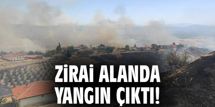 Zirai alanda yangın çıktı!