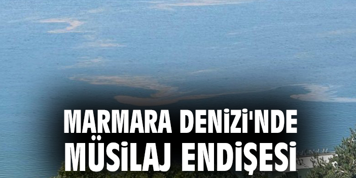Marmara Denizi'nde müsilaj endişesi