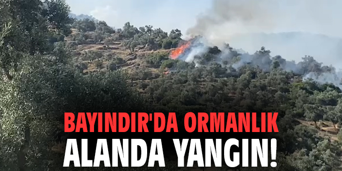 Bayındır'da ormanlık alanda yangın!