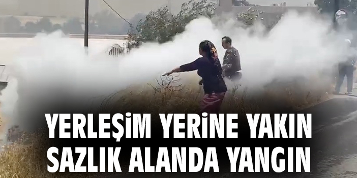 Yerleşim yerine yakın sazlık alanda yangın