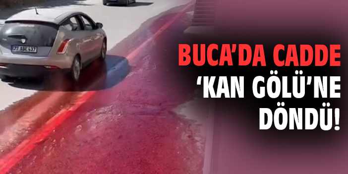 Buca’da cadde ‘kan gölü’ne döndü!