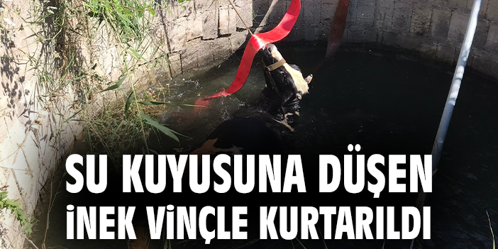 Su kuyusuna düşen inek vinçle kurtarıldı
