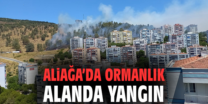 Aliağa’da ormanlık alanda yangın