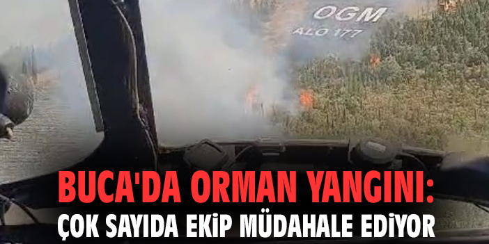 Buca'da orman yangını: Çok sayıda ekip müdahale ediyor
