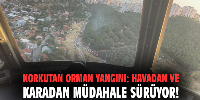 Korkutan orman yangını: Havadan ve karadan müdahale sürüyor!