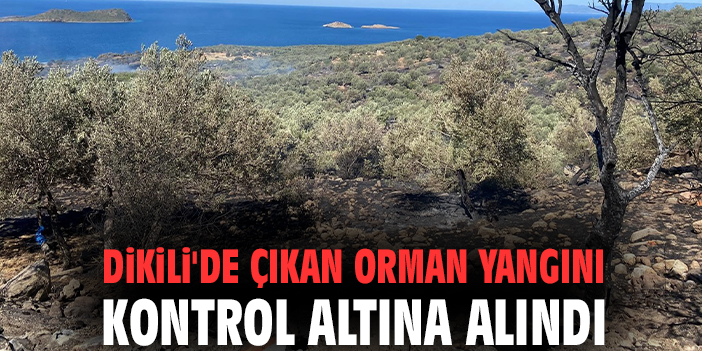 Dikili'de çıkan orman yangını kontrol altına alındı