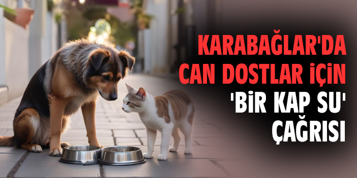 Karabağlar'da can dostlar için 'bir kap su' çağrısı