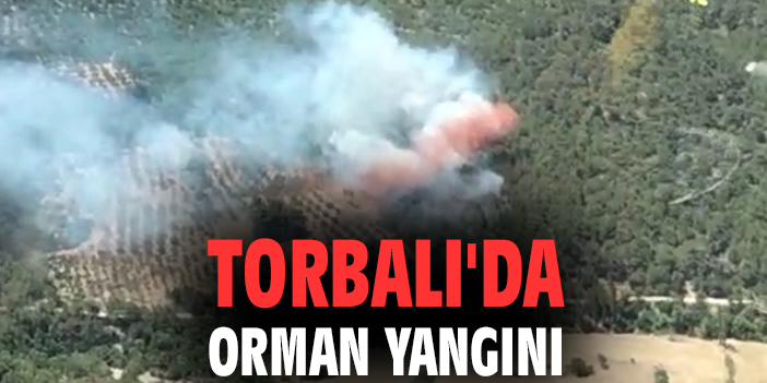 Torbalı'da orman yangını