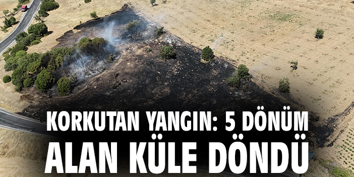 Korkutan yangın: 5 dönüm alan küle döndü