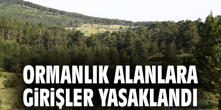 Ormanlık alanlara girişler yasaklandı
