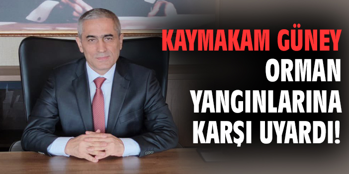 Kaymakam Güney orman yangınlarına karşı uyardı!