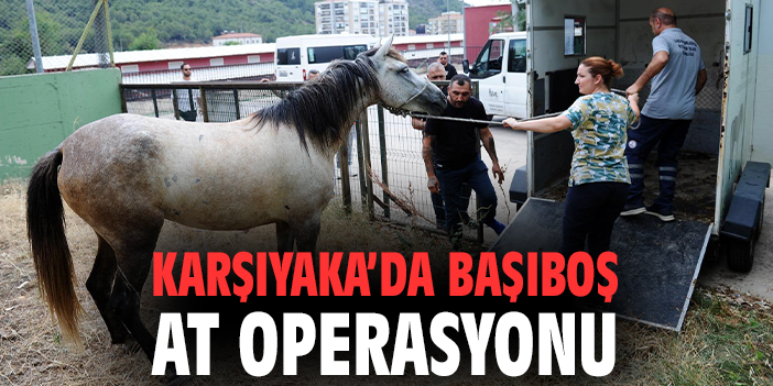 Karşıyaka’da başıboş at operasyonu