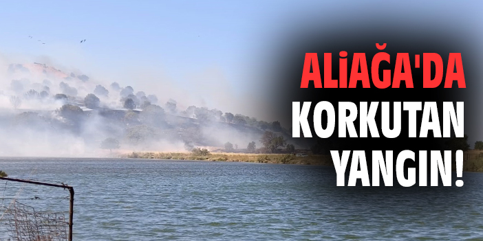 Aliağa'da korkutan yangın!