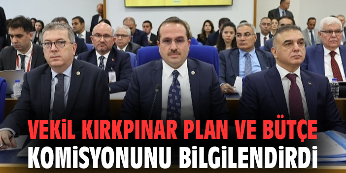 Vekil Kırkpınar Plan ve Bütçe komisyonunu bilgilendirdi