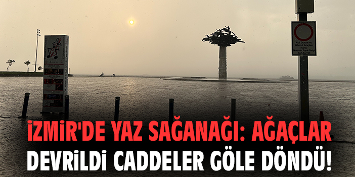 İzmir'de yaz sağanağı: Ağaçlar devrildi caddeler göle döndü!