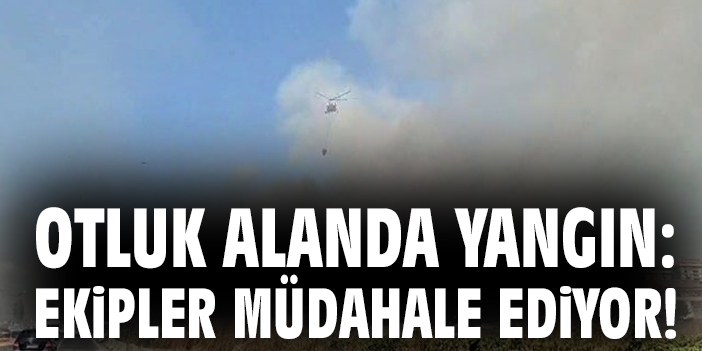 Otluk alanda yangın: Ekipler müdahale ediyor!