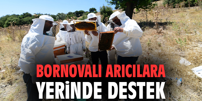Bornovalı arıcılara yerinde destek