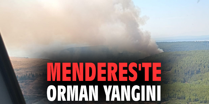 Menderes'te orman yangını