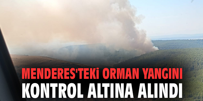 Menderes'teki orman yangını kontrol altına alındı