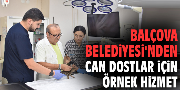 Balçova Belediyesi'nden can dostlar için örnek hizmet