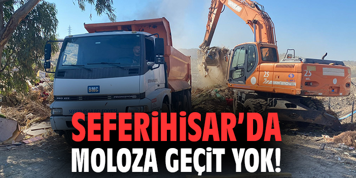 Seferihisar'da moloza geçit yok!