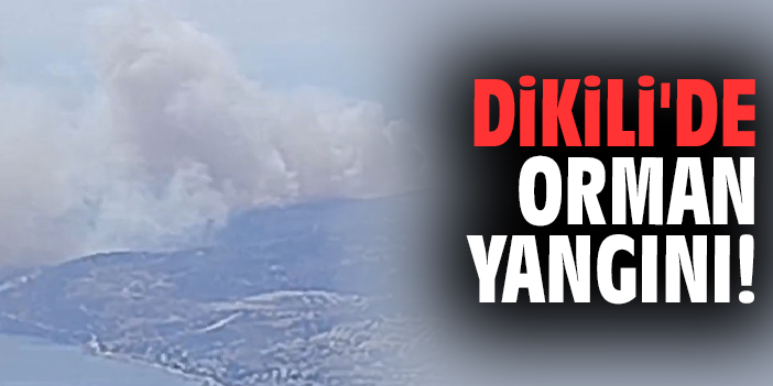 Dikili'de orman yangını!