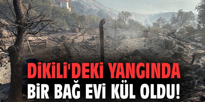 Dikili'deki yangında bir bağ evi kül oldu!