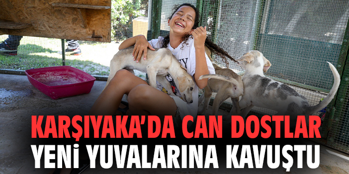 Karşıyaka’da can dostlar yeni yuvalarına kavuştu