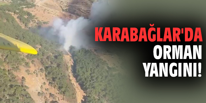 Karabağlar'da orman yangını!
