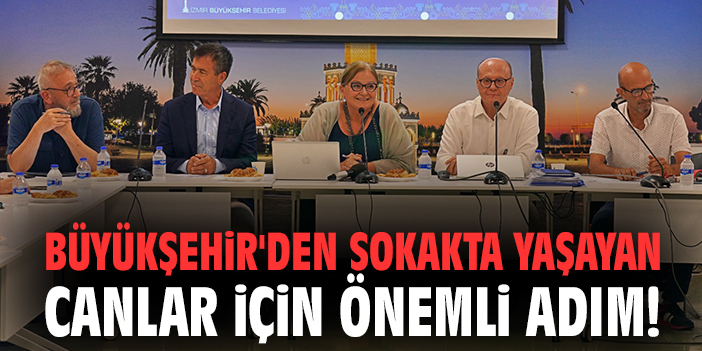 Büyükşehir'den sokakta yaşayan canlar için önemli adım!