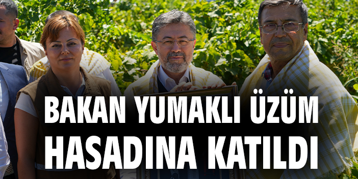 Bakan Yumaklı üzüm hasadına katıldı