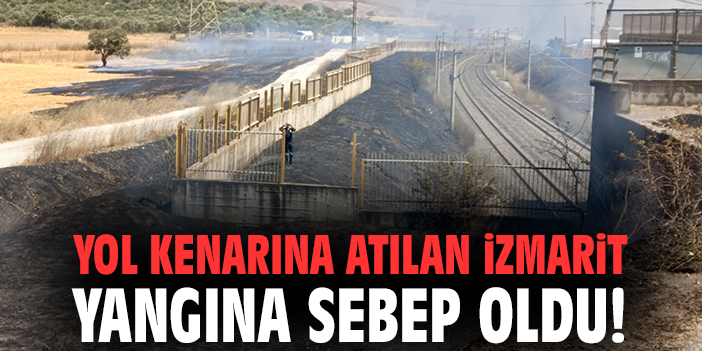 Yol kenarına atılan izmarit yangına sebep oldu!