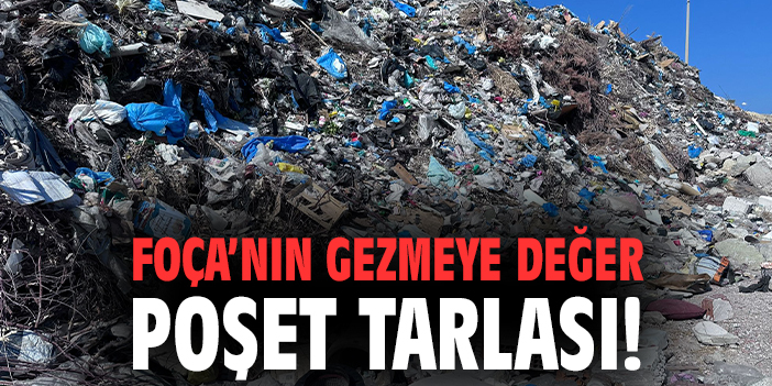 Foça’nın gezmeye değer poşet tarlası!