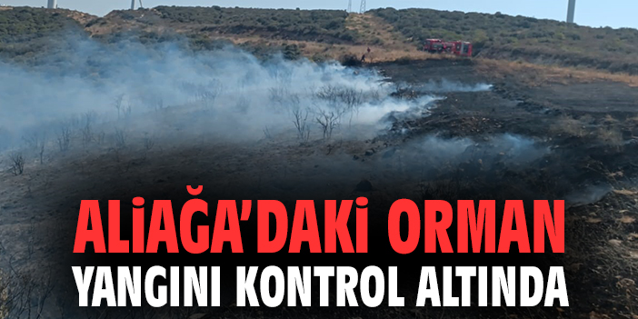 Aliağa’daki orman yangını kontrol altında