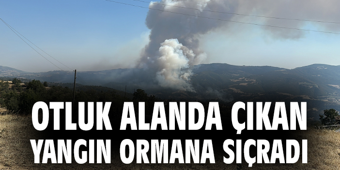 Otluk alanda çıkan yangın ormana sıçradı