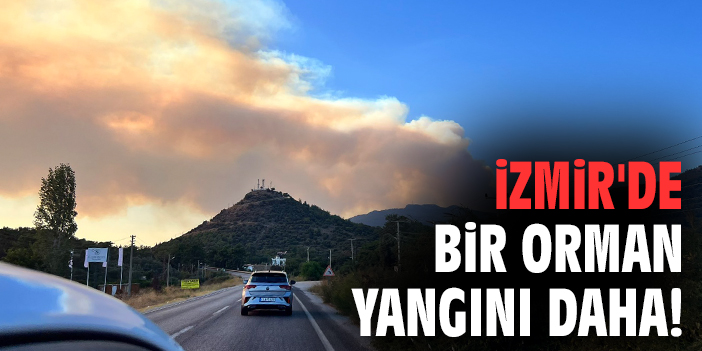 İzmir'de bir orman yangını daha!