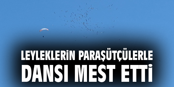 Leyleklerin paraşütçülerle dansı mest etti