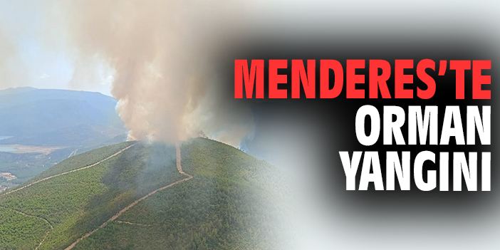 Menderes’te orman yangını