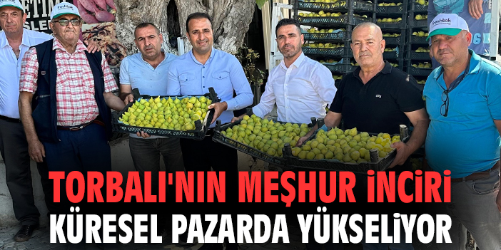 Torbalı'nın meşhur inciri küresel pazarda yükseliyor