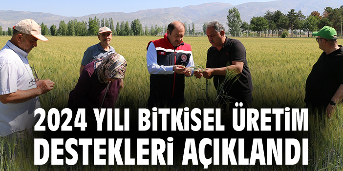 2024 yılı bitkisel üretim destekleri açıklandı